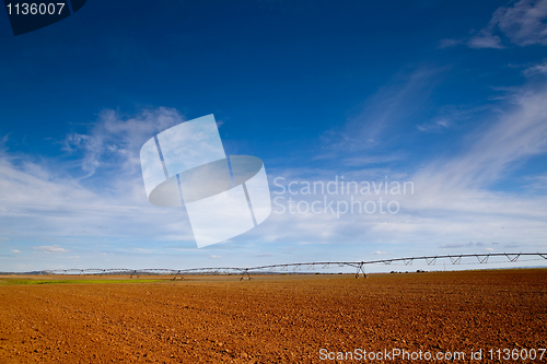 Image of Agriculture farm