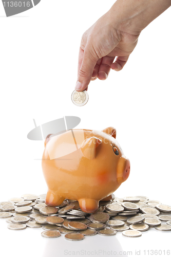 Image of Piggy-bank