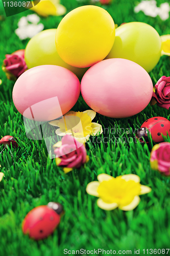 Image of Easter eggs in green 