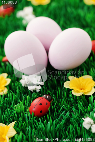 Image of Easter eggs in green 