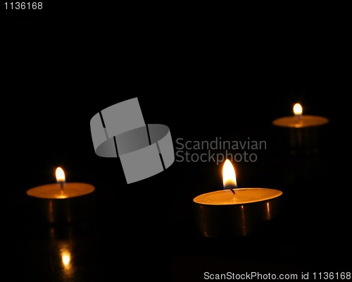 Image of Tree candles