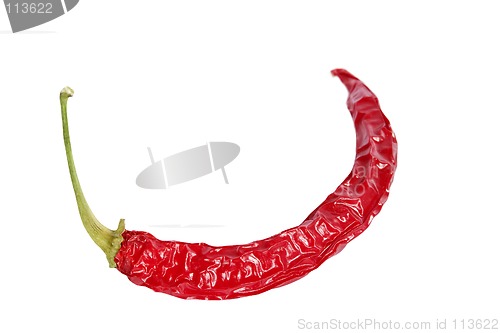 Image of Red Hot Chilli