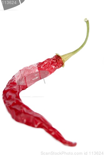 Image of Red Hot Chilli