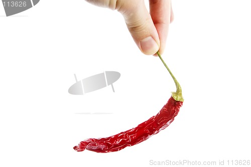 Image of Red Hot Chilli