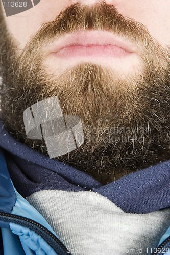 Image of Beard Close Up