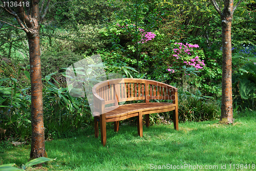 Image of Wooden Bench