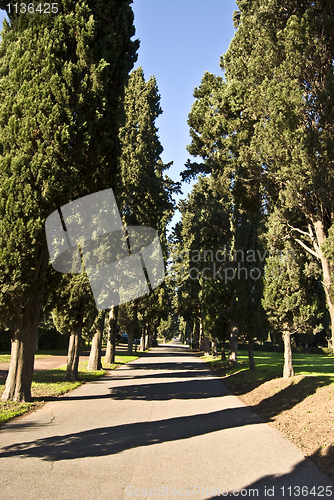 Image of Via Appia Antica