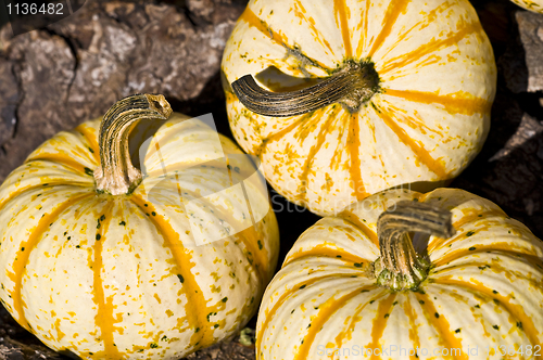 Image of Pumpkins