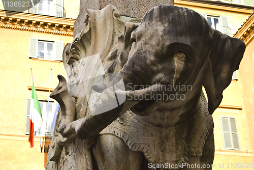 Image of Bernini's elephant