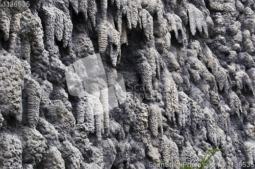 Image of Wall of stalactites