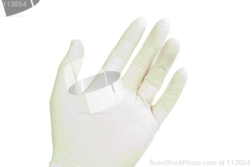 Image of Latex Glove on Hand