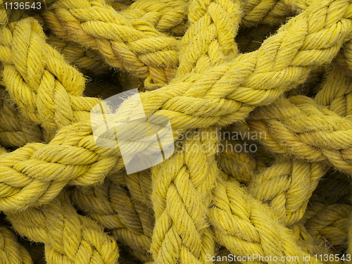 Image of Rope