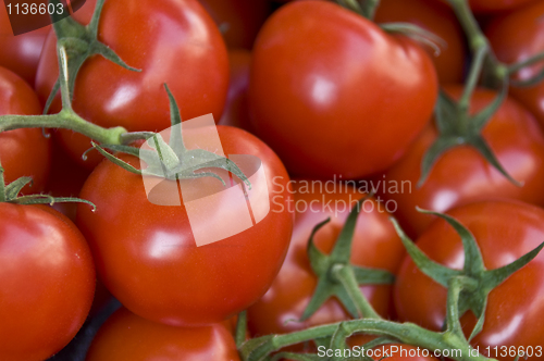 Image of Tomatos