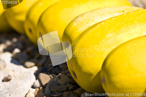 Image of Pumpkins