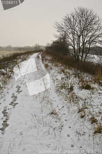 Image of Winter landscape