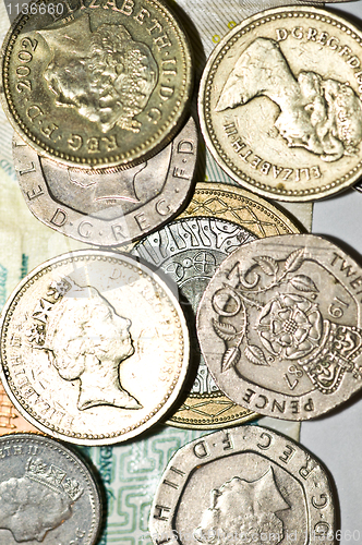 Image of Pounds