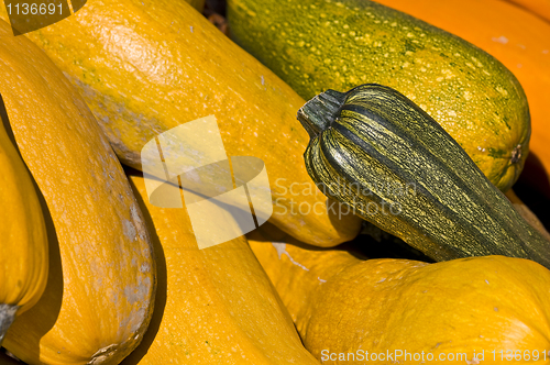 Image of Pumpkins