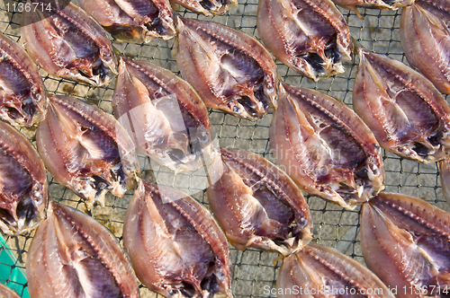 Image of Dry fish