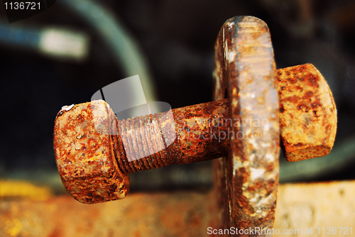 Image of Rusty screw