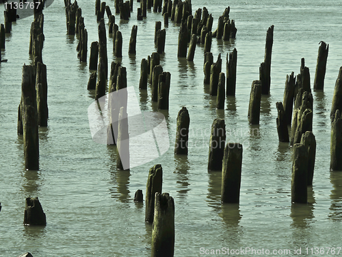 Image of Groynes