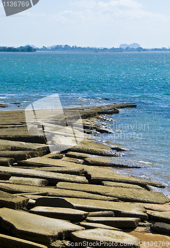 Image of Susan Hoi Shell Fossil Beach Cemetery