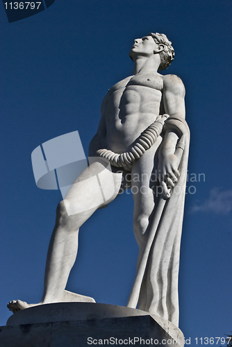 Image of Looking up