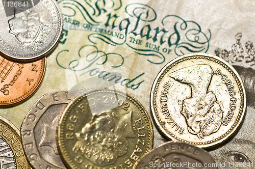 Image of Pounds