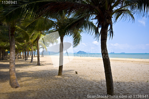 Image of Thai Beach