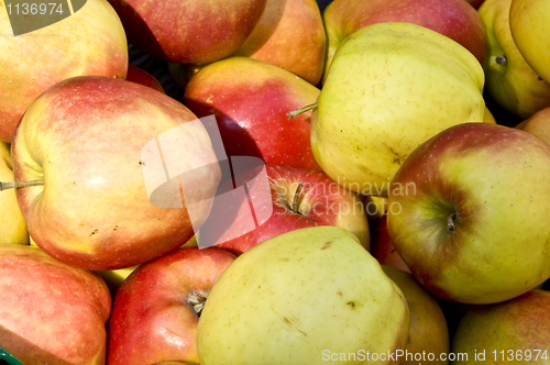 Image of Apples