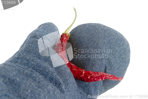 Image of Hot Chilli