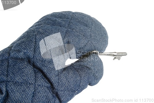 Image of Oven Mitt with Key