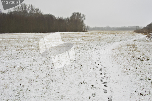 Image of Winter landscape