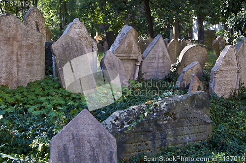 Image of Jewish cemetery