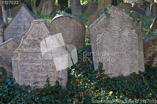 Image of Jewish cemetery