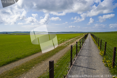 Image of Vanishing ways