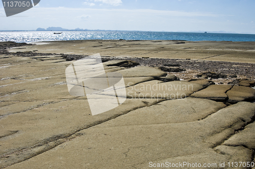 Image of Susan Hoi Shell Fossil Beach Cemetery