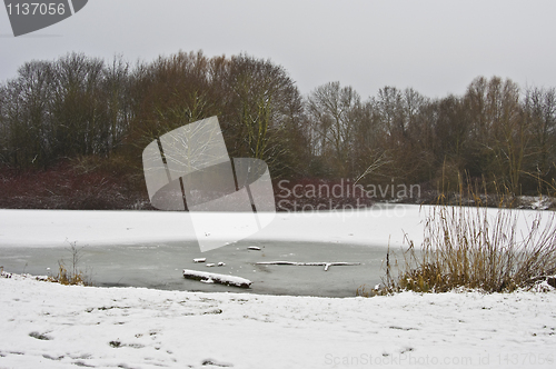 Image of Winter landscape