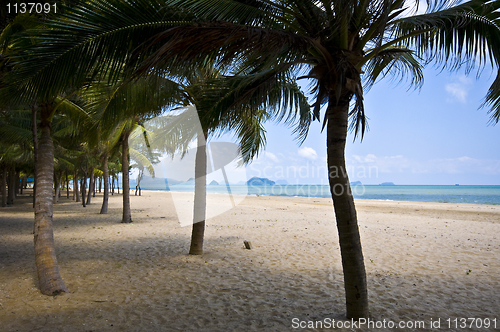 Image of Thai Beach