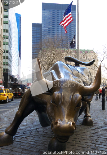 Image of Charging bull