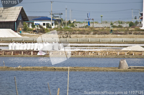 Image of Saline