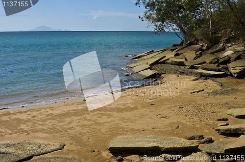 Image of Susan Hoi Shell Fossil Beach Cemetery