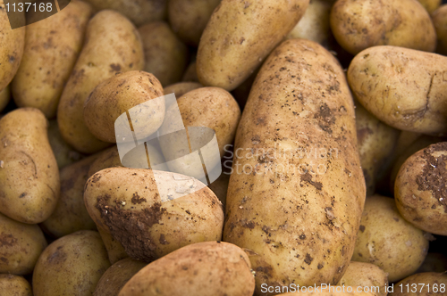 Image of Potatos