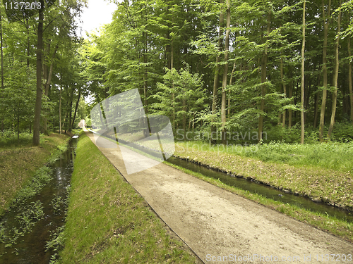 Image of Walk in the Park