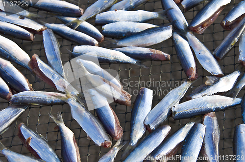 Image of Dry fish