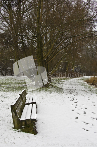 Image of snowy bench