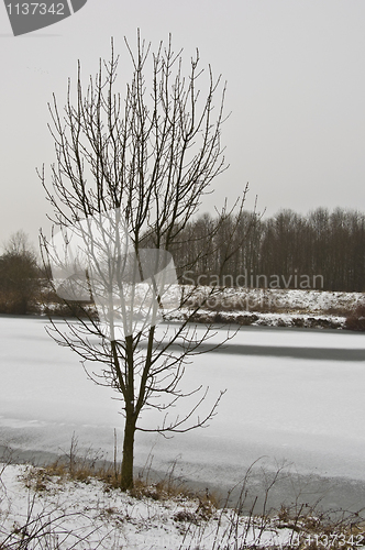 Image of Winter landscape