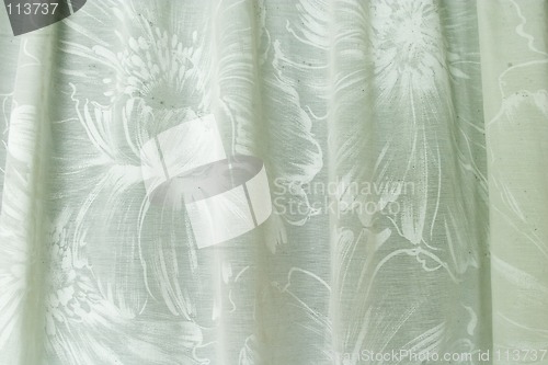 Image of Flower Shower Curtain