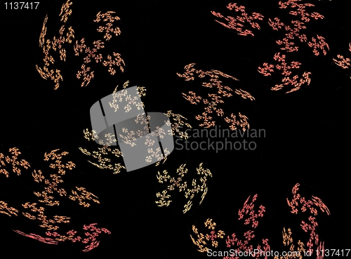 Image of Floral