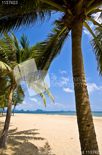 Image of Thai Beach