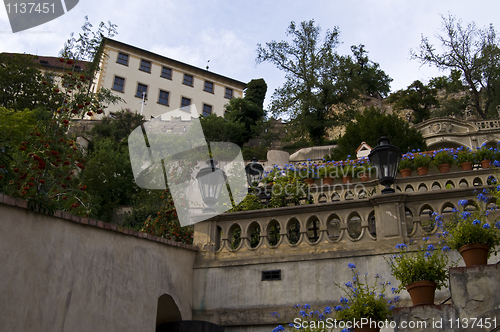 Image of Castle garden